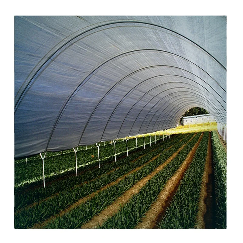 Large Size High Tunnel Agricultural Greenhouse For Tomato Growing Buy