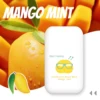 Mango e menta
