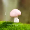 No 12-dream mushroom