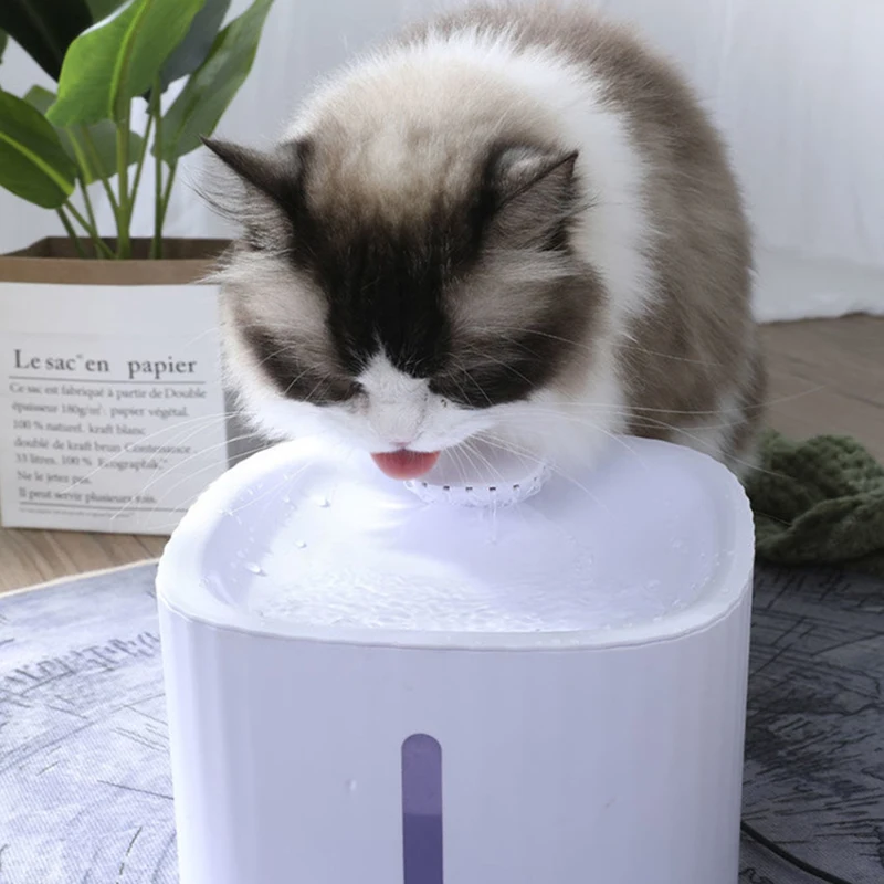 cat laser pointer toy Serene Life Automatic Laser Cat Toy