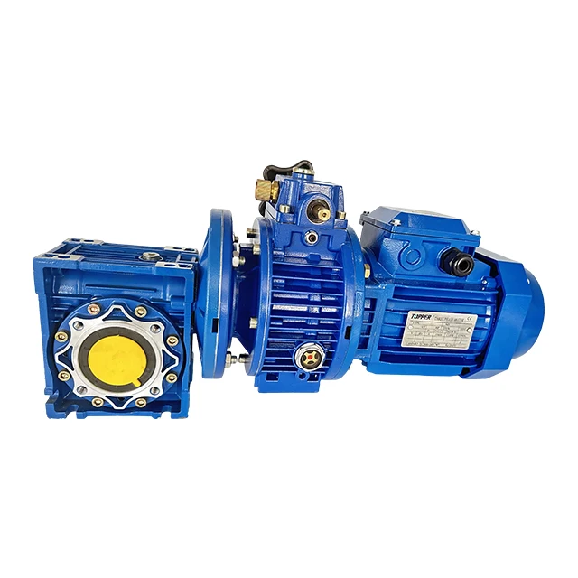 UDL mechanical variator UDL005 with 0.37kw Three Phase Electric motor and NMRV075 worm speed reducer,transmission machine