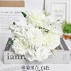 Ball chrysanthemum combination-white
