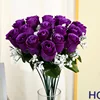 สีม่วง