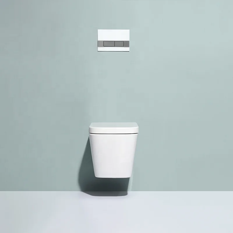 Sustainable ceramic floating toilet