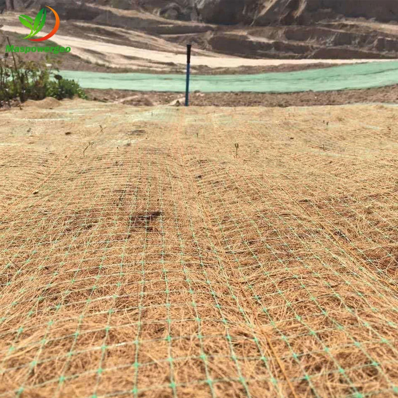 Coconut coir matting jute for erosion control at