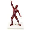 QH3324-5 Mini Muscle Man Model