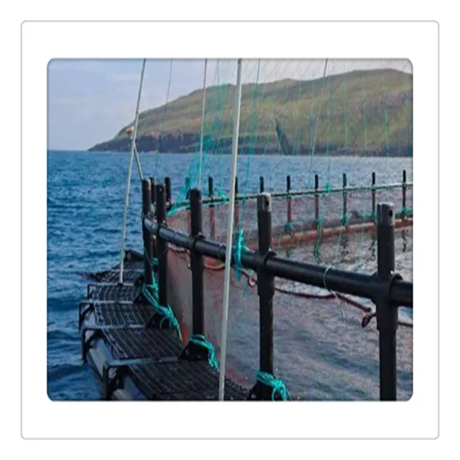 100 Pièces Cage / Mangeoire à Ressort Pour Pêche - 30g - Pour Carpe, Gardon, Brème - Neuf