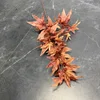 Maple leaves