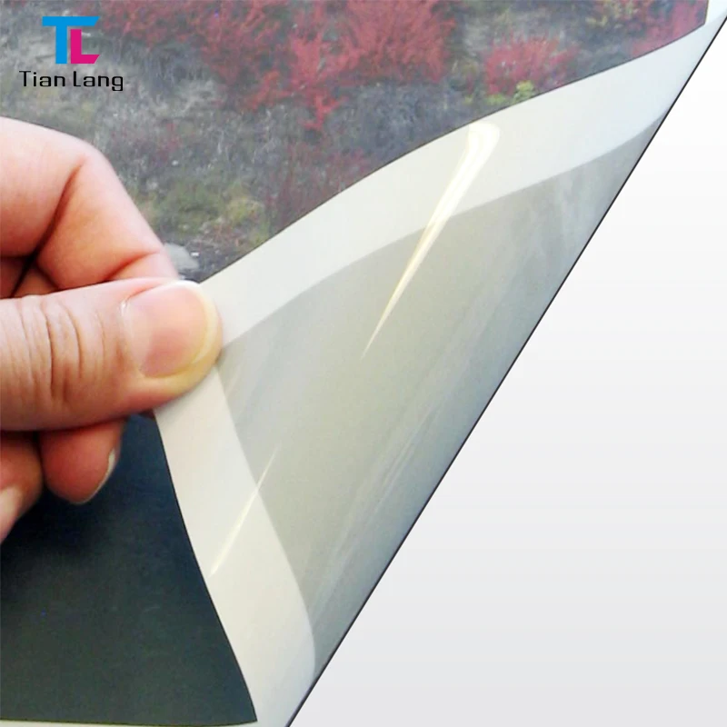 رايات فيلم PET بالخلفية الباهرة / غير اللامعة بالمذيبات الإيكولوجية للاستخدام في الإعلانات الخارجية ومواد العرض والبوسترات