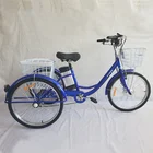 Factory Wholesale MTBGOO 36V 10Ah 250W Electric Tricycle Cargo Lithium Battery Adult Moped 24 Inch 6 Speed Electric Tricycles