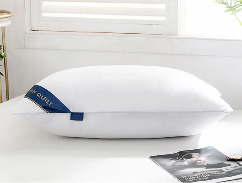 Fast Shipping Soft Fill Down Hilton Pillow 1000g With Bag Bed Neck