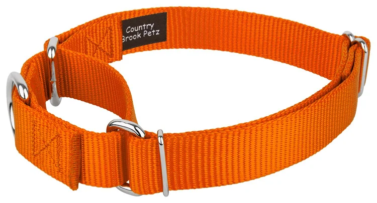 Custom Pattern Logo Polyester Nylon Outdoor Training Martingale Dog Collar Chain Adjustable Custom Martingale Dog Collar