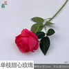 Solo amor WY rosa roja
