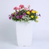 สีขาว