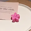rosa intenso