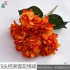Paquete de 5 cabezas de hortensia copo de nieve WY naranja