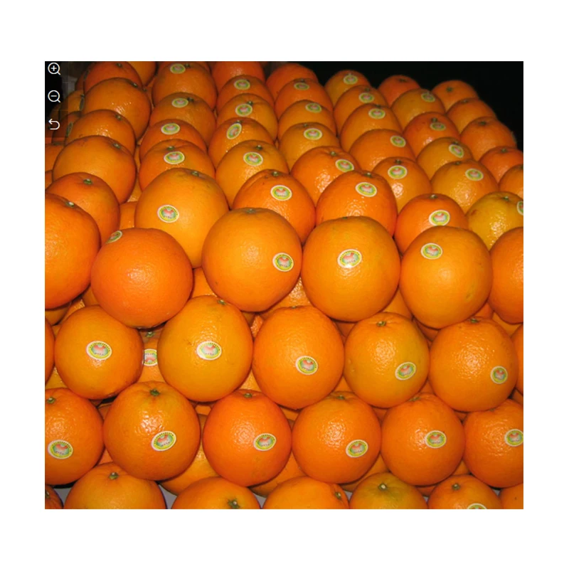 Купить лимон мандарин. Апельсины зеленые или оранжевые. Морской апельсин. Апельсиновый Лидер. Цитрусовые фрукты оптом.
