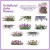 E Daily Flower Festival-viola