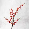 กิ่งไม้สีแดง