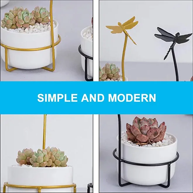potted plant parenting How To Be a Plant Parent