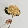 Autumn champagne
