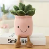 Succulente-rose-25cm014kg