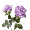 #14 Purple