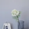 สี หมายเลข4