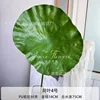 Lotus Leaf No. 4