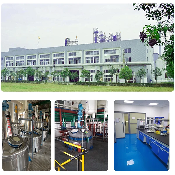 Wuhan New Erea Food Co., Ltd. 3