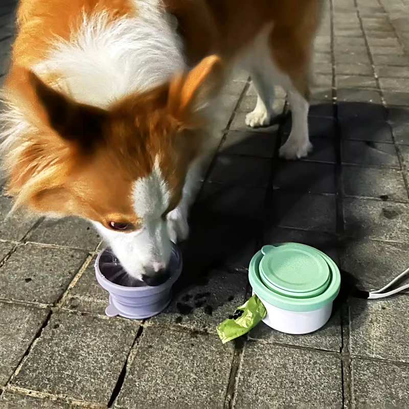 New Design 3 in 1 Poop Bag Holder Dispenser Drinking Cup Walking Bowls Feeder Portable Pet Water Bottle With Food Container