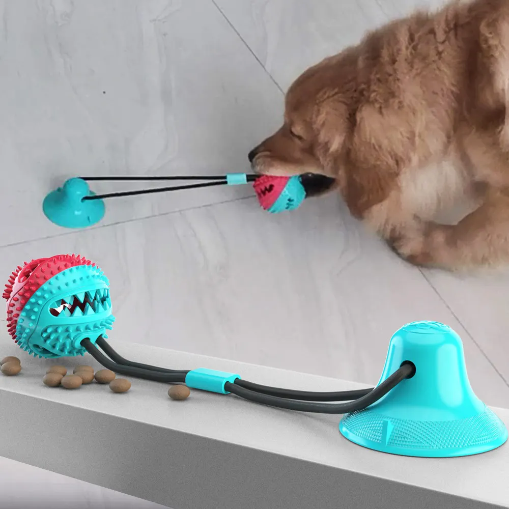 Molar Suction Cup Dog Toy With Drawstring Ball Leakage, Dog Toy – JonxiFon