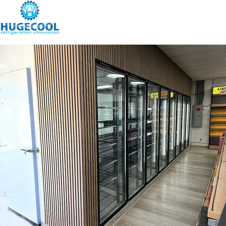 Display Walk in Cooler and Freezer with Glass Door and Shelf