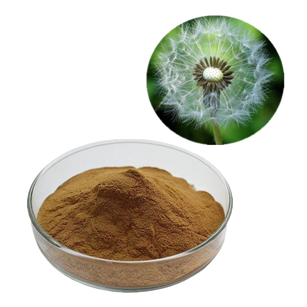 Provide Free Samples Hot Sale Natural Flavonoids Dandelion Root Powder