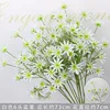White six-headed blue star flower branch