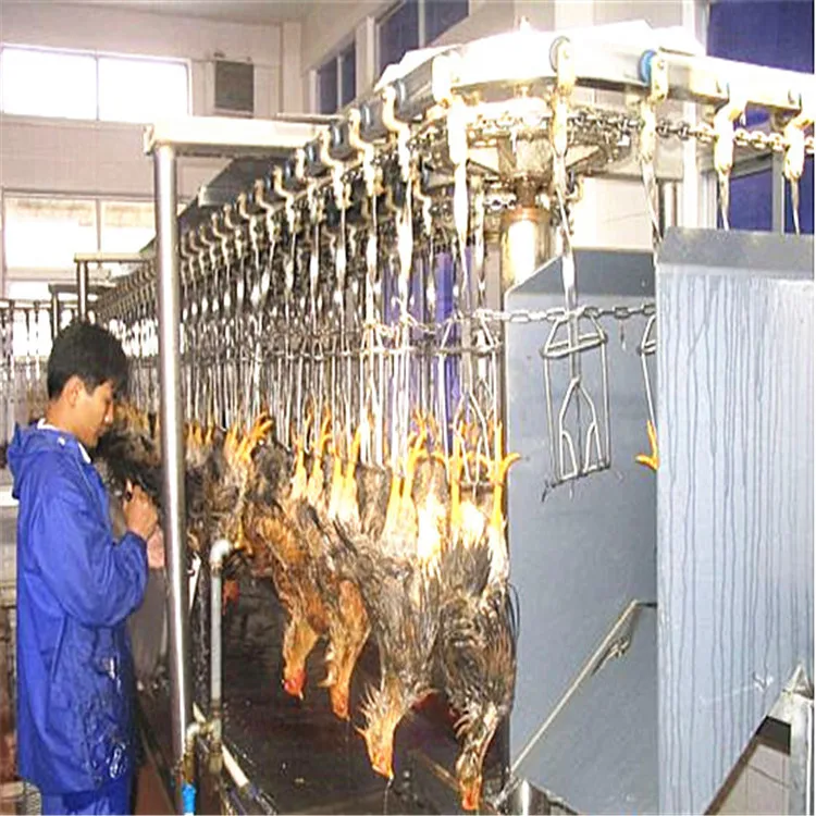 Chicken processing plant equipment Chicken slaughterhouse equipment
