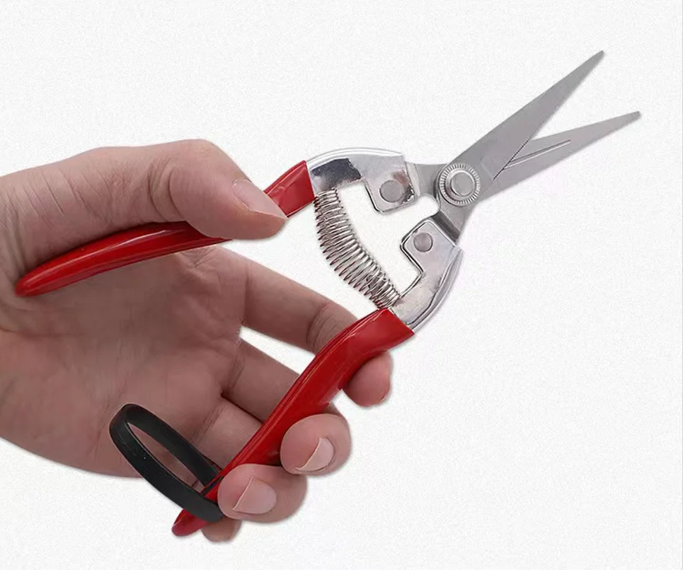 Factory Professional Tree apple Fruit Branches Garden Scissors Pruning Shears With Stainless Steel Blade
