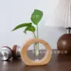 appareil hydroponique