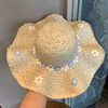 Caqui