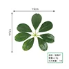 Bayberry leaf