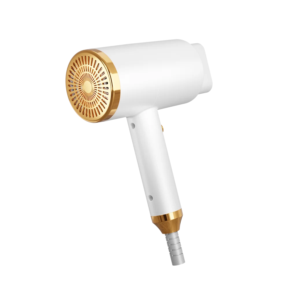5 in 1 Hand Rechargeable Salon Professional Ionic Hair Dryer for  Brush for Household & Hotel Use