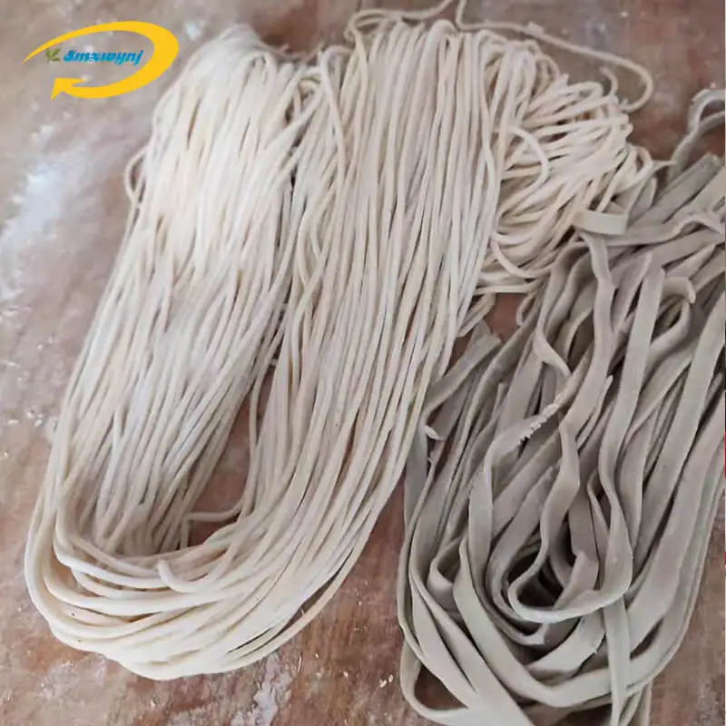 750W Electric Automatic Pasta Maker Stainless Steel Noodle Roller Machine  Home Restaurant 22cm Knife 2.5mm Round Noodle 