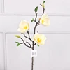 Style3 bianco