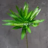 Lirio de Bambú
