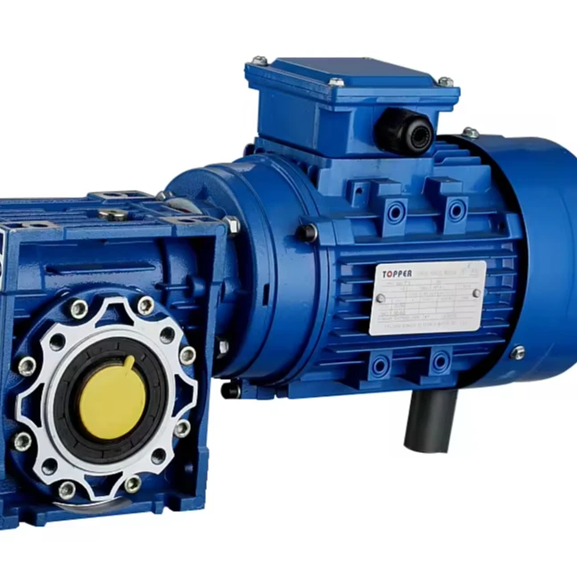 MS Three Phase 0.18kw Copper Wire Electric Motor with NMRV040(1:80) Worm Reducer Motor Reducer