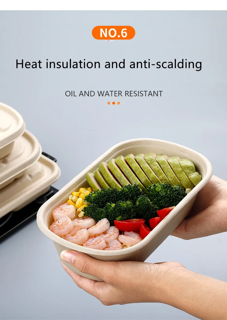 Disposable Sugarcane Bagasse Food Packaging Container Take Away 750ml 2 ...