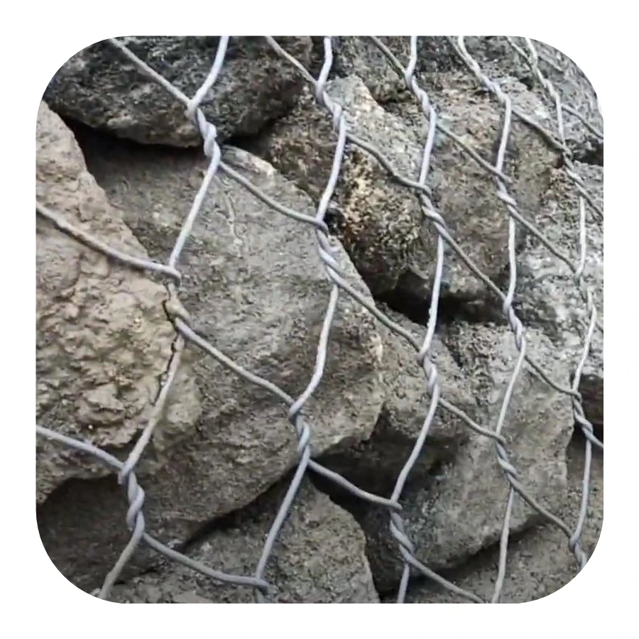 High quality hot Dipped wire mesh chain link fence for garden