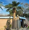 Artificial Canary Date Palm Small (6m 19.69ft)