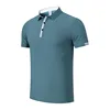Gris-vert