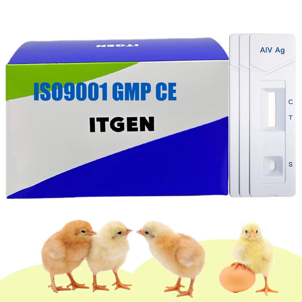 Aiv Antigens In Poultry Feces Animal Disease Poultry Testing Kit Test ...